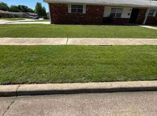 Luis R.'s lawn service service result