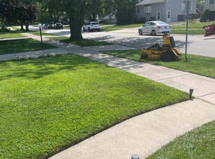David B.'s grass cutting service result