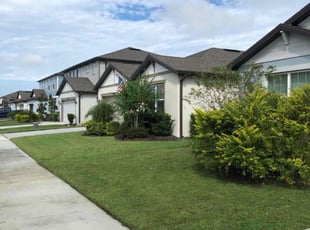 Myrlande M.'s grass cutting service result