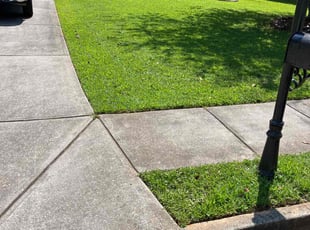 Marv S.'s lawn care services service result