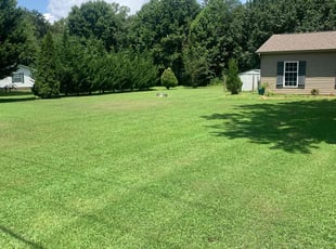 Carolynn P.'s grass cutting service result