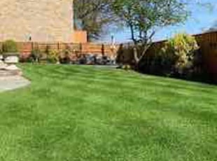 Patti L.'s lawn care services service result