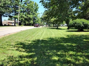 Deiatra D.'s lawn care services service result