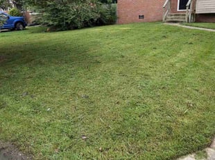 Rahul M.'s turf maintenance service result
