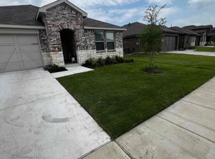 Mark L.'s lawn service service result