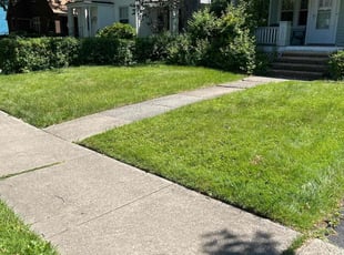 David A.'s grass cutting service result