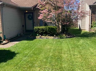 Richard F.'s turf maintenance service result