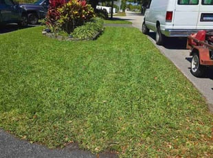 Chris E.'s grass maintenance service result