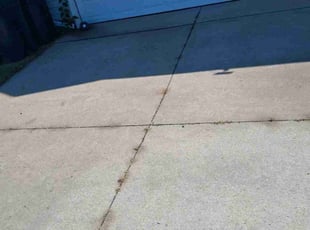 Yuwel S.'s lawn care services service result