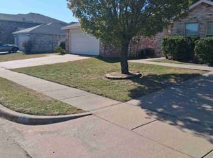 Paul M.'s grass cutting service result