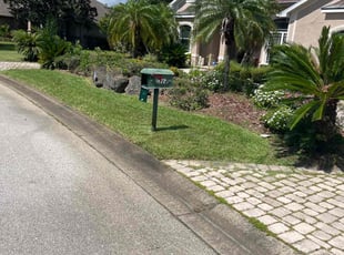 John D.'s grass maintenance service result