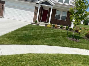 Zach B.'s lawn care service result