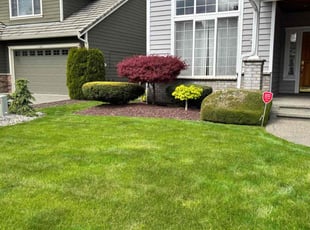 Kathleen B.'s Bush Trimming service result