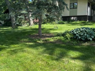 Renuka D.'s turf care service result