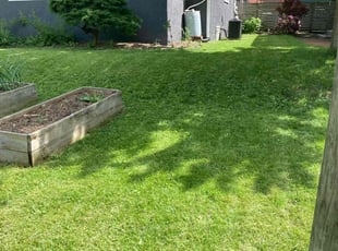 Michael M.'s grass maintenance service result