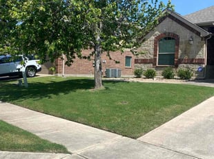 Rolla P.'s lawn care service result