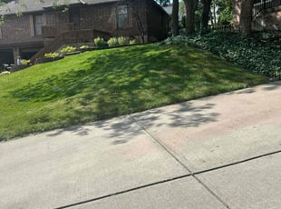 Richard ( Rick ) R.'s grass cutting service result