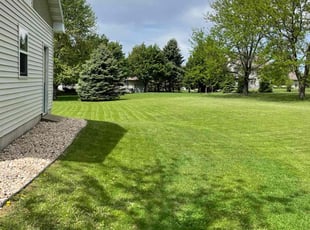 Michele Z.'s turf care service result