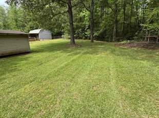 Kristan U.'s turf maintenance service result