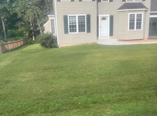 Daphne E.'s lawn service service result