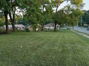 Ashley F.'s lawn service service result