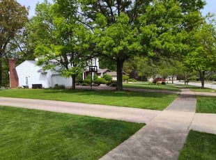 James M.'s turf care service result