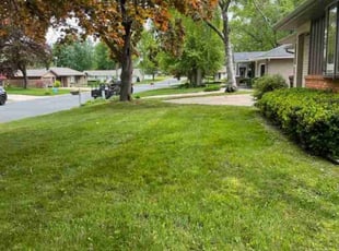 Mike H.'s turf care service result