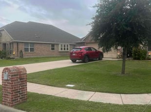 Raychel U.'s lawn service service result