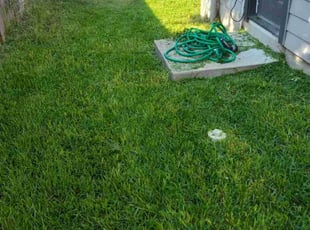 Mike F.'s Cleanups service result