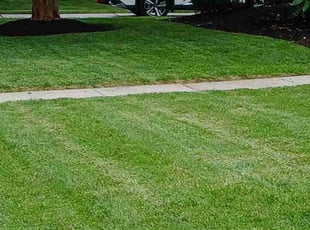 Johnny G.'s landscaping service result