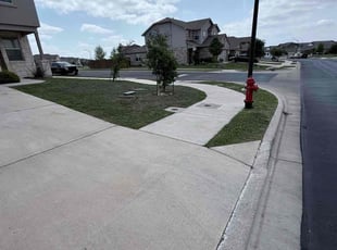 James D.'s grass cutting service result