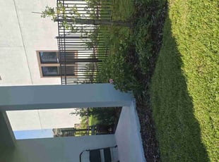 Alexandria A.'s Bush Trimming service result