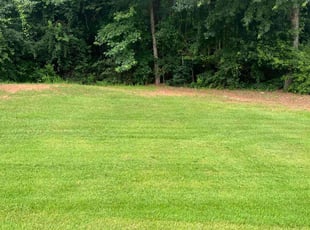 James P.'s lawn care services service result