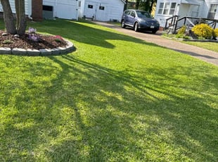 Mel F.'s grass cutting service result