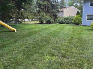 Brenda L.'s lawn care service result