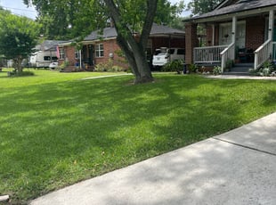 Alamar R.'s grass maintenance service result