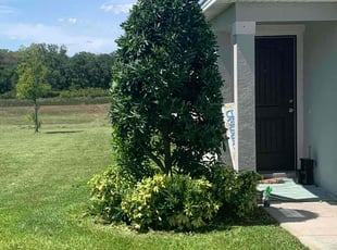 Sarah R.'s Bush Trimming service result