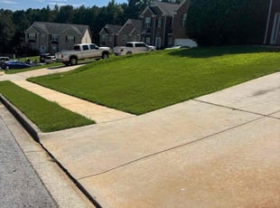 Tayane A.'s grass cutting service result