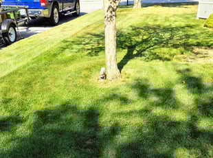 Jan G.'s lawn service service result