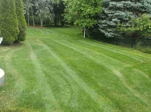 Kris S.'s landscaping services service result