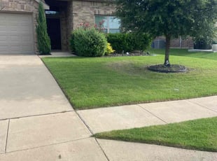 Shaanti N.'s lawn maintenance service result