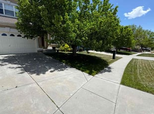 Greisys H.'s grass cutting service result