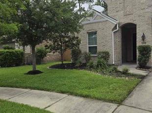 Alton W.'s turf care service result