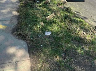 Joyce J.'s lawn care service result