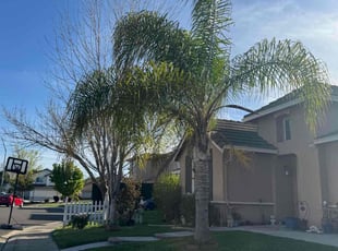 David M.'s lawn maintenance service result