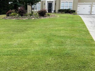 Jessica T.'s turf maintenance service result