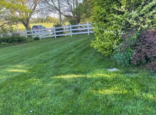Gigi C.'s lawn care services service result