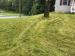 Adam W.'s lawn care service result