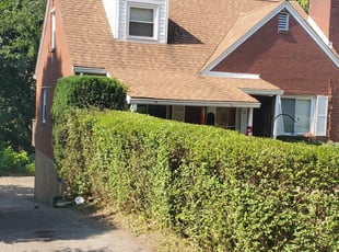 Ivy L.'s lawn care service result