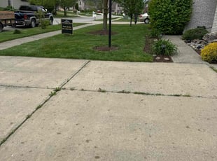 Annabell S.'s turf care service result